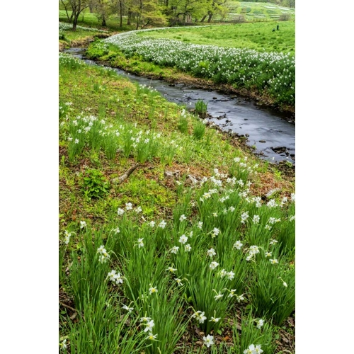 USA, Pennsylvania Spring scenic